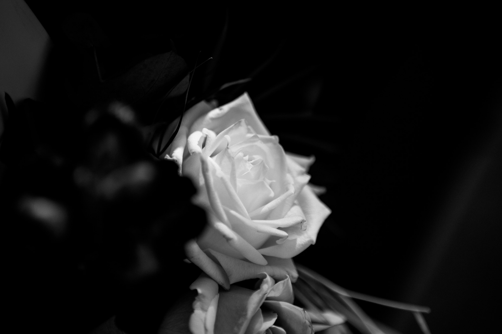 MrMunro MelbourneWeddingPhotographer