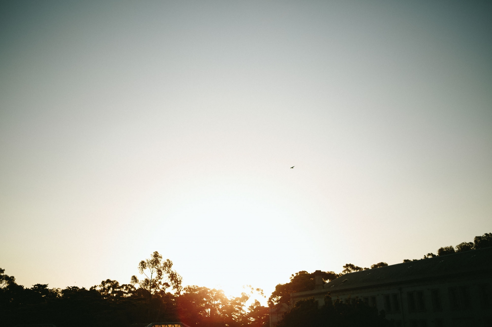 MrMunro MelbourneWeddingPhotographer